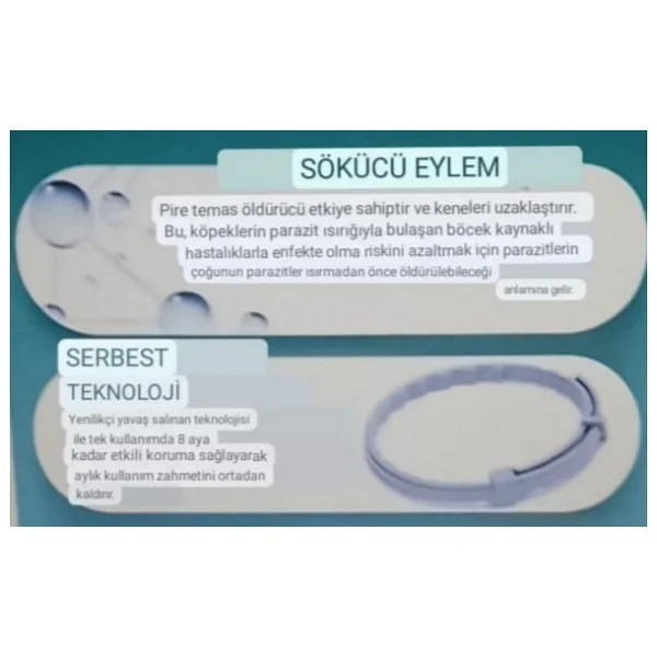 Laydbug Kedi Tasması Kene, Pire, Bit Ve Parazit İçin Koruyucu - Görsel 7