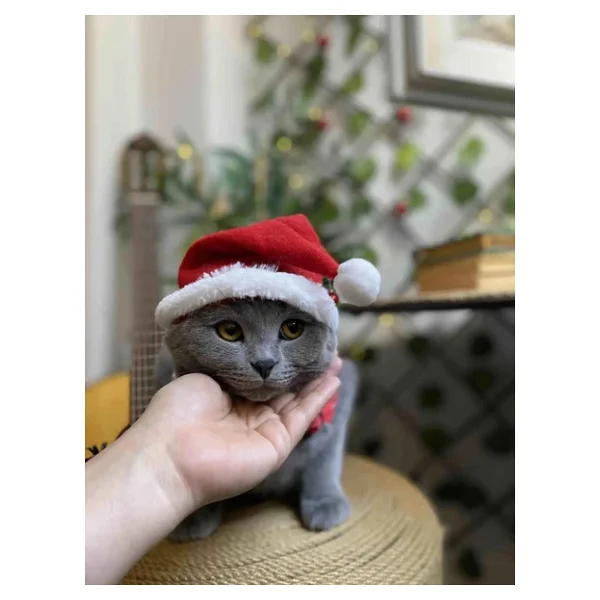 Patipatron Yeni Yıl Kedi Şapkası Lastikli Yılbaşı Şapkası Yetişkin Kedi (Yetişkin) - Görsel 2