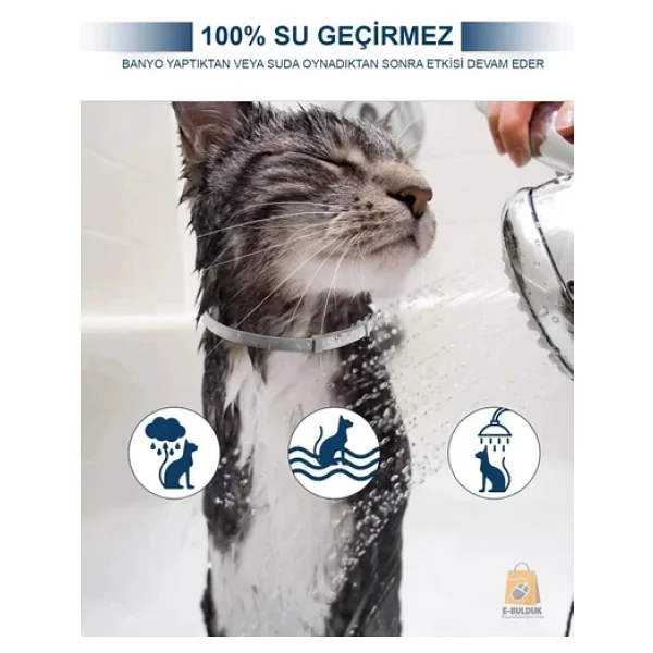 Kedi Anti Pire Kene Önleyici Tasma- 38 Cm - Görsel 5