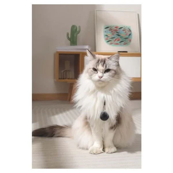 M-Pets Fearless Ultrasonik Pire Ve Kene Kovucu - Görsel 7