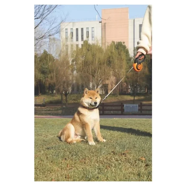 M-Pets Autobrake Otomatik Gezdirme Şerit 5mt/Orange (M) - Görsel 2