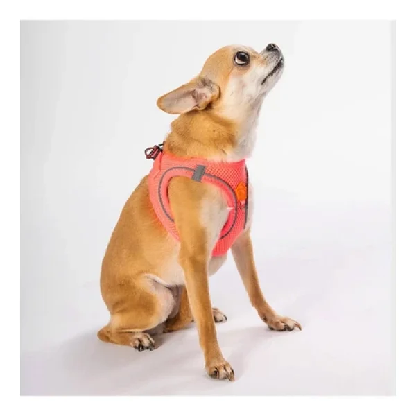 Pawstar Neon Pembe Air-Mesh Göğüs Tasması Kedi Köpek Göğüs Tasması Neon Pembe XL - Görsel 2