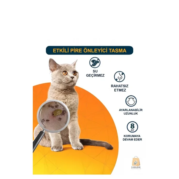 Kedi Anti Pire Kene Önleyici Tasma- 38 Cm - Görsel 2