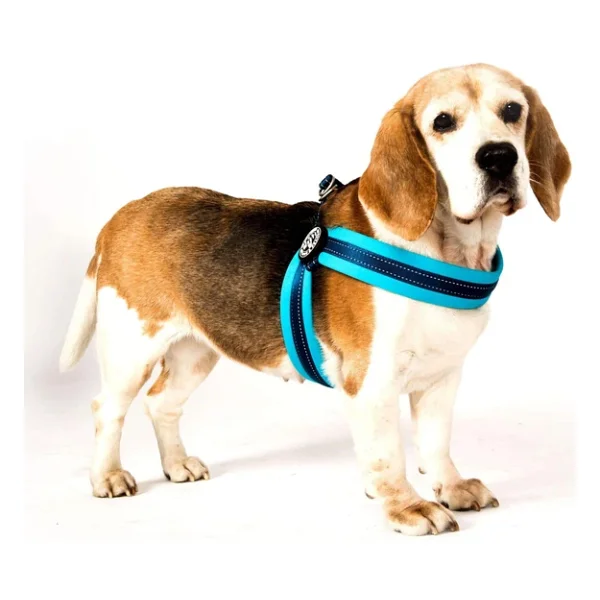 Max & Molly Urban Pets Q-Fit Kablo Demeti Kireç Yeşili - S - Görsel 3