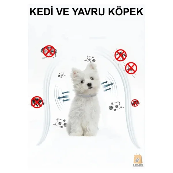 Kedi Anti Pire Kene Önleyici Tasma- 38 Cm - Görsel 4