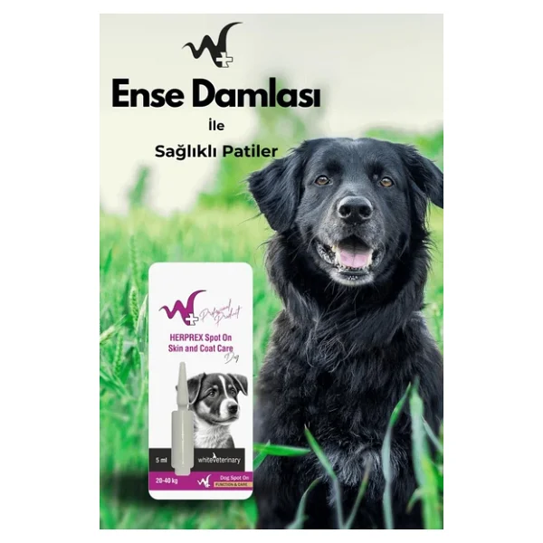 Whiteveterinay Köpek Damlası Bit Ve Pire 20-40kg 1ml - Görsel 6