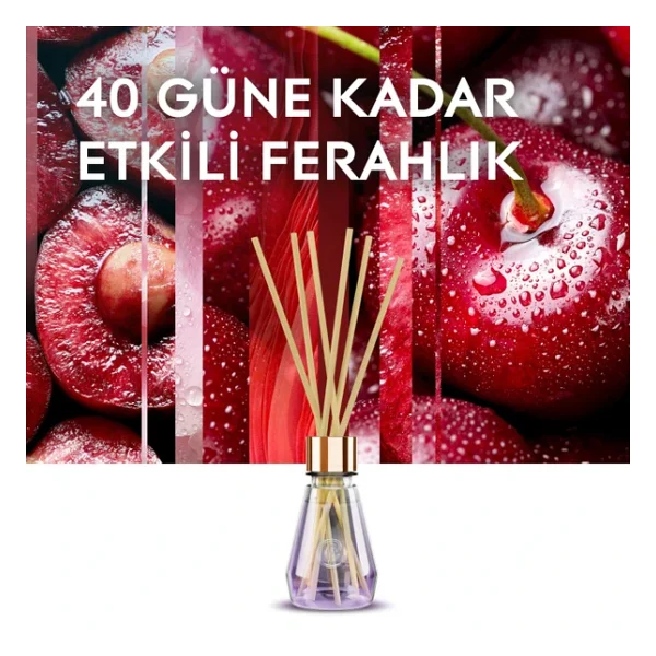 Glade Çubuklu Oda Kokusu Cherry Bloom 100 Ml - Görsel 5