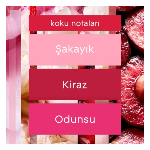 Glade Çubuklu Oda Kokusu Cherry Bloom 100 Ml - Görsel 8