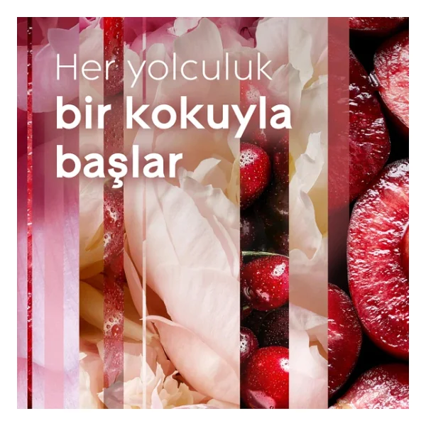 Glade Çubuklu Oda Kokusu Cherry Bloom 100 Ml - Görsel 6