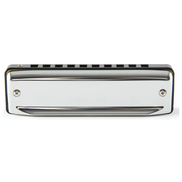 Suzuki Bluesmaster Harmonica İn A - Görsel 4