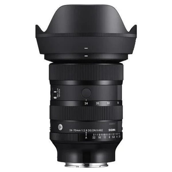 Sony A7r V + Sigma 24-70mm Lens Aynasız Fotoğraf Makinesi - Görsel 8