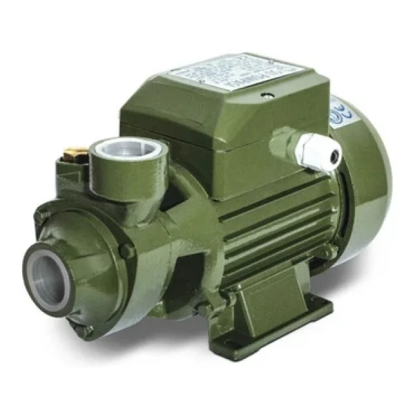 QB70 0.75 Hp 1" Elektrikli Su Pompası Santrifüj Pompa - Görsel 3