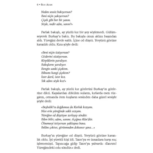 Ruh Adam - Hüseyin Nihal Atsız - Görsel 8