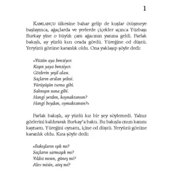 Ruh Adam - Hüseyin Nihal Atsız - Görsel 7