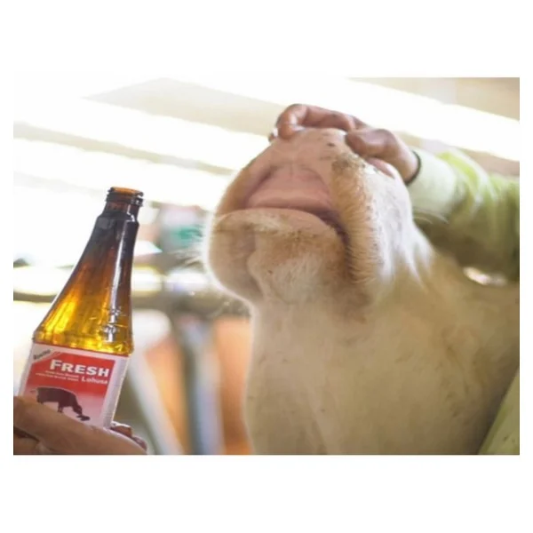 Royal Rovita Fresh 500ml - Görsel 2