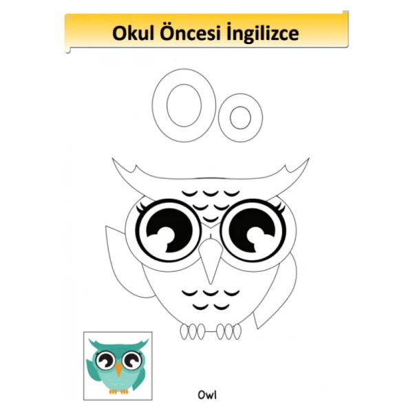 Okul Öncesi İngilizce Eğitim Seti (Aktivite Kitabı) - Görsel 6