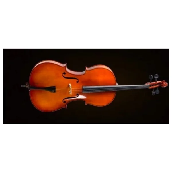 Valencia Ce400g34 3/4 Çello - Görsel 4