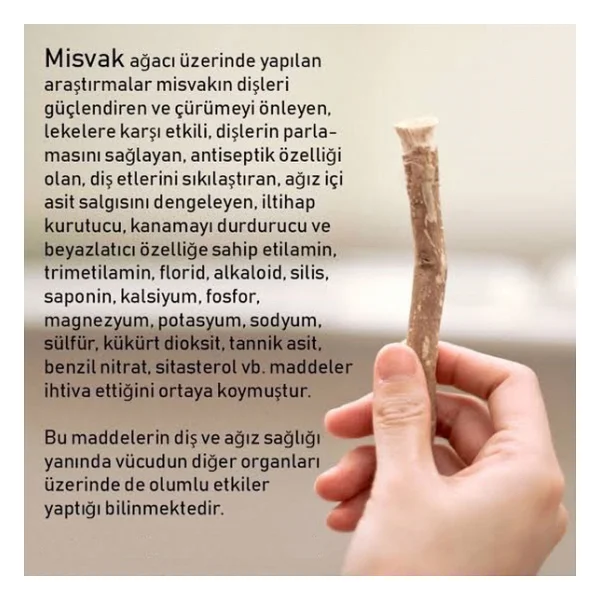 Misvak Dis Fircasi Naturel Vakumlu Misfak 12 Adet - Görsel 6