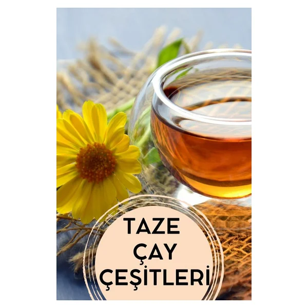 E-Aktariye Bilye Tane Kekik 100 Gr - Görsel 2