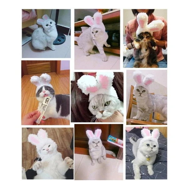 Tavşan Kulaklı Kedi Köpek Şapkası 30-34 Cm - Görsel 5