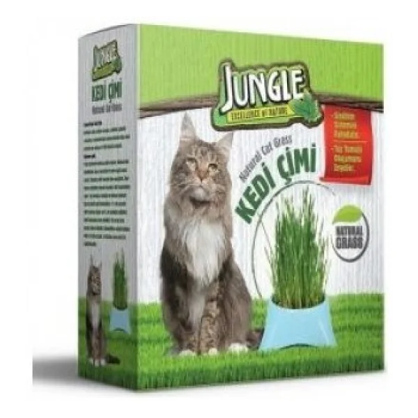 Jungle Doğal Fileli Kedi Çimi - Görsel 3