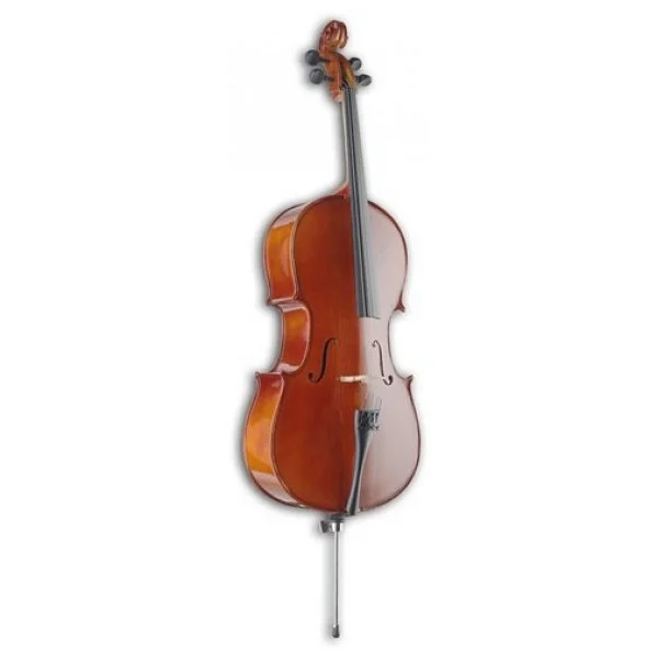 Stagg 4/4 Çello Vnc-4/4 - Görsel 4