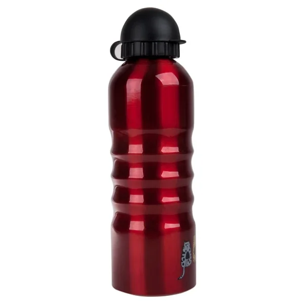 Biggdesign Cats 700 Ml Çelik Matara - Görsel 6