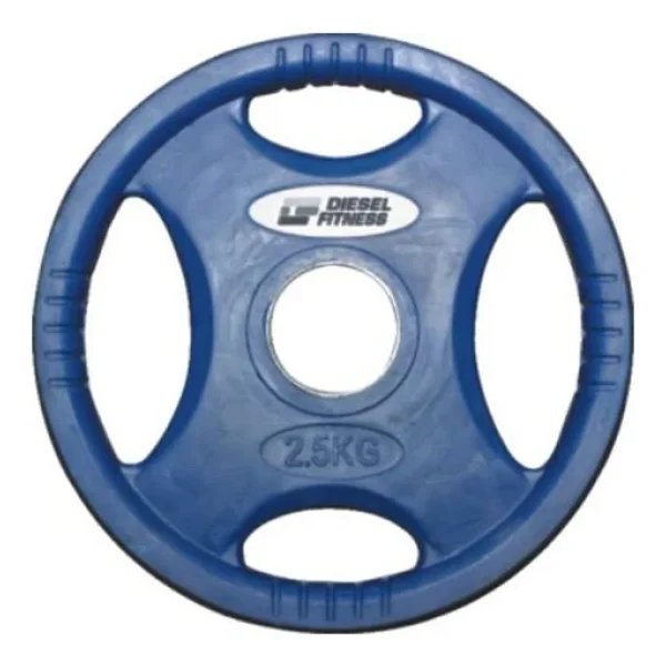 Diesel Fitness 2.5 Kg Kauçuk Flanş - Görsel 3