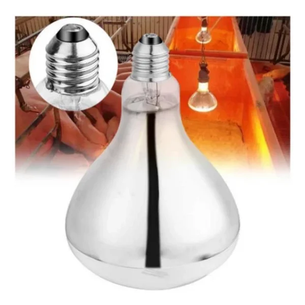 Ledvance 250 W Infrared Şeffaf Ampul E27 - Görsel 7