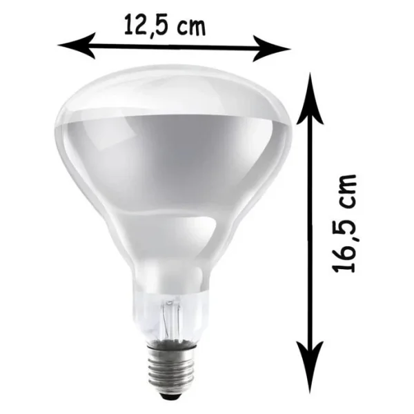 Ledvance 250 W Infrared Şeffaf Ampul E27 - Görsel 9