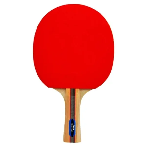 Slazenger Champion Ittf Onaylı Masa Tenisi Raketi - Görsel 3