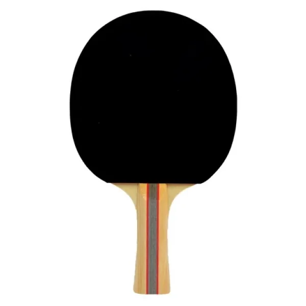 Slazenger Champion Ittf Onaylı Masa Tenisi Raketi - Görsel 4