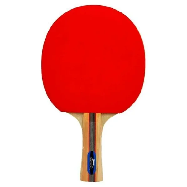 Slazenger Champion Ittf Onaylı Masa Tenisi Raketi - Görsel 10