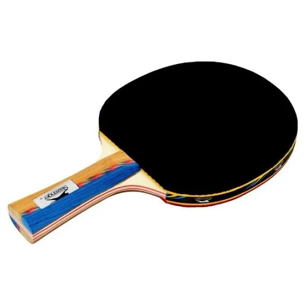 Slazenger Master Ittf Onaylı Masa Tenisi Raketi - Görsel 8