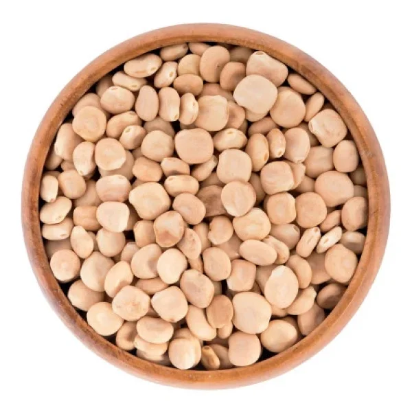 Organik Bitkim Acı Bakla ( Yahudi Baklası, Termiye) 500 Gr - Görsel 4