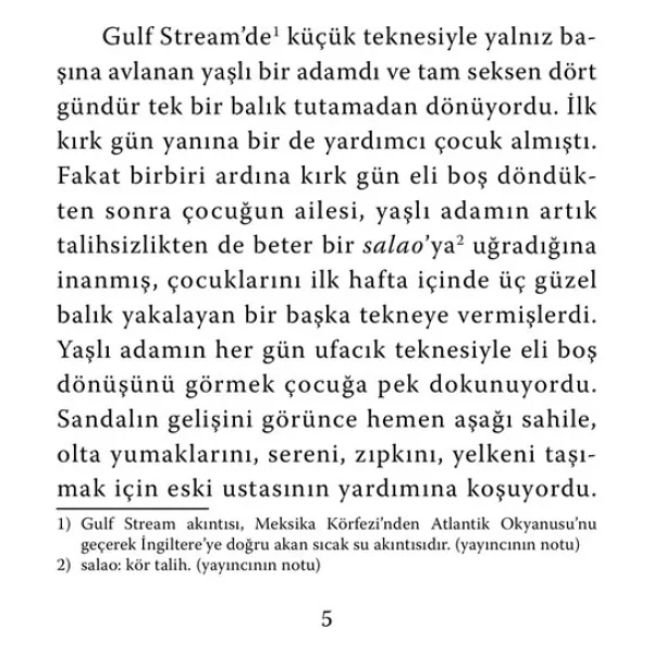 Yaşlı Adam Ve Deniz - Ernest Hemingway - Görsel 5