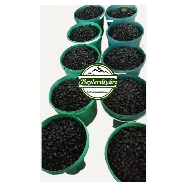 Beyler Diyarı Çıtır Zeytin 10 Kg - Görsel 6