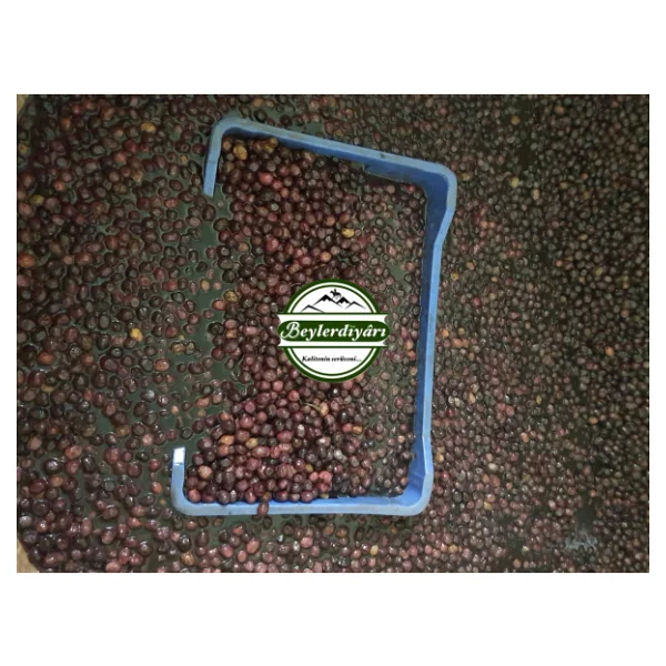 Beyler Diyarı Çıtır Zeytin 10 Kg - Görsel 7
