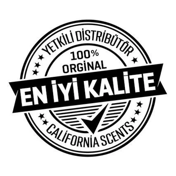 California Scents Palms Ice Asma Araba Kokusu 4 Adet - Görsel 4