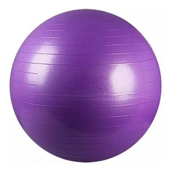 Leyaton Plates Topu 75cm Pompa Mor - Görsel 3