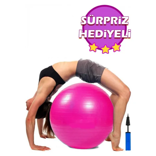 Leyaton Pilates Topu Seti Pembe 65 Cm Deluxe Yoga Plates Egzersiz Topu Ball Şişirme Pompası Seti - Görsel 2