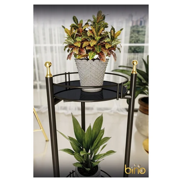 Bino Saksılık Organizer Bahçe Balkon Standı Çiçeklik Dekoratif Lüks Metal 2 Katlı Servis Sunum Tepsi - Görsel 6