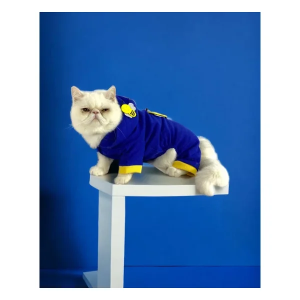 Navy Bee Kedi Tulumu Kedi Kıyafeti - Görsel 9