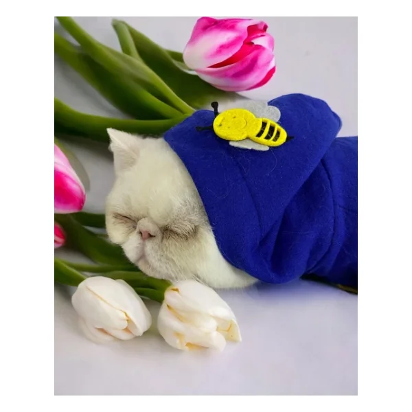 Navy Bee Kedi Tulumu Kedi Kıyafeti - Görsel 4