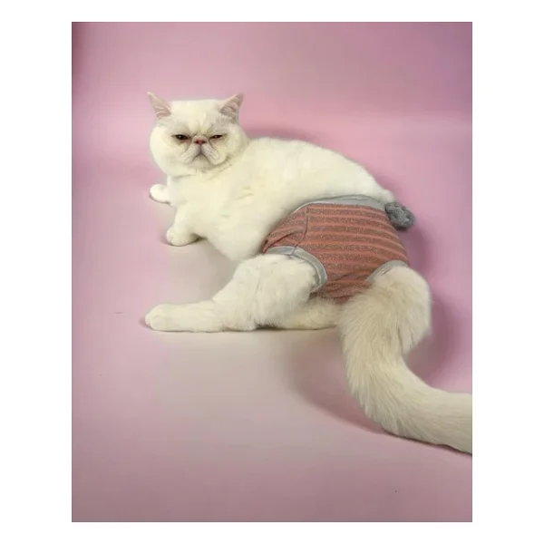 Pink Shine Kemiques Secret Kedi Ic Camasiri Regl Kulot Don - Görsel 3