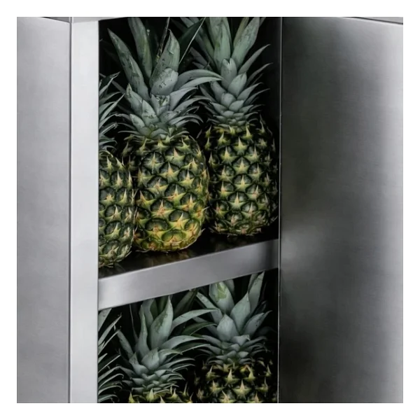 Cancan Ananas Soyma Makinası - Görsel 9
