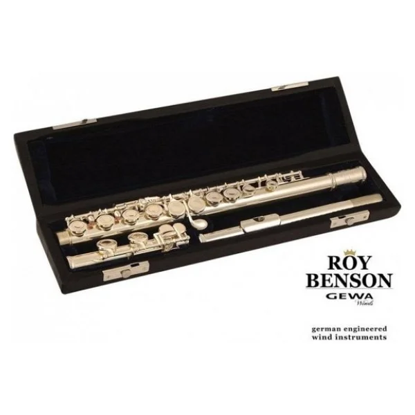 Roy Benson Fl-402e Yan Flüt - Görsel 4