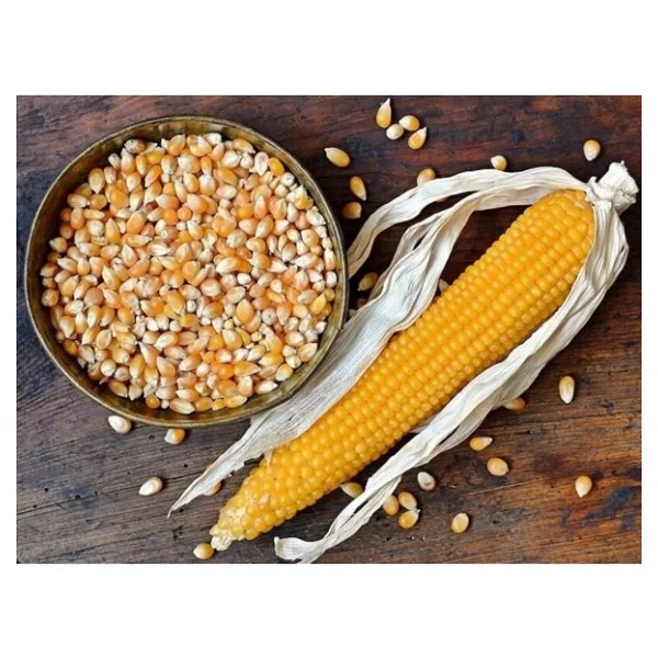 Altunsa Patlayan Mısır Popcorn 900 Gr - Görsel 6