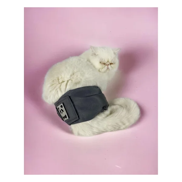 Kedi Cis Bel Bandi Yikanabilir Sizdirmaz Kedi Kiyafeti - Görsel 5