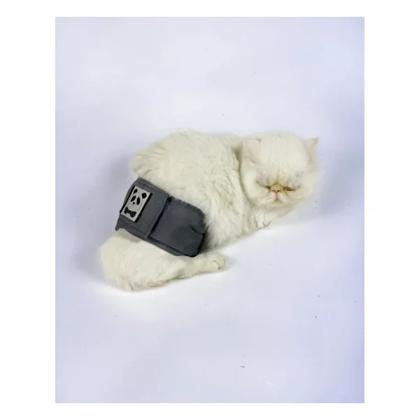 Kedi Cis Bel Bandi Yikanabilir Sizdirmaz Kedi Kiyafeti - Görsel 3